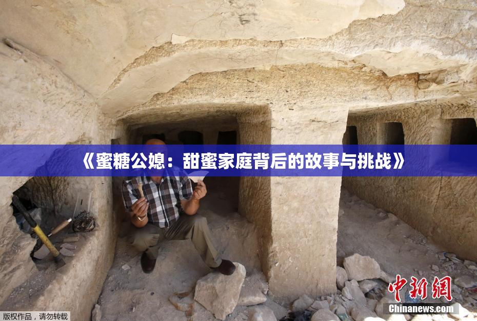 《蜜糖公媳：甜蜜家庭背后的故事与挑战》