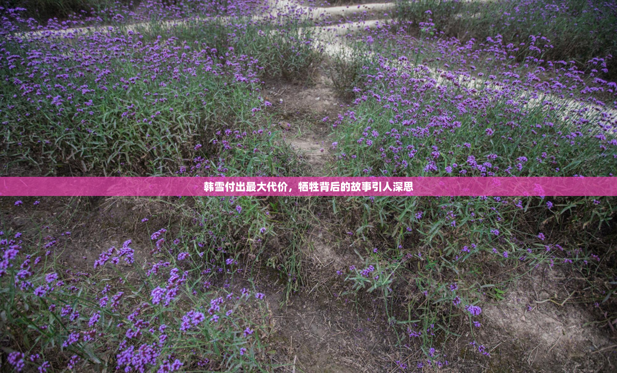 韩雪付出最大代价，牺牲背后的故事引人深思