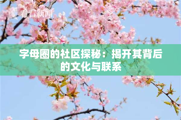 字母圈的社区探秘：揭开其背后的文化与联系