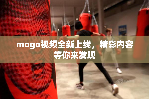 mogo视频全新上线，精彩内容等你来发现