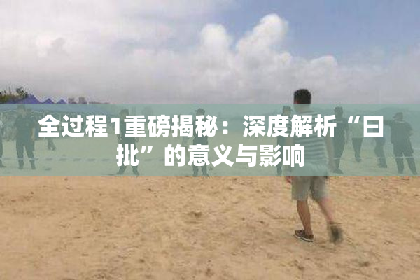全过程1重磅揭秘：深度解析“曰批”的意义与影响
