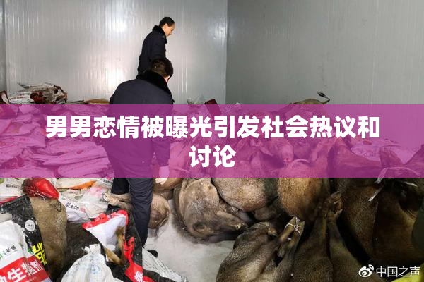 男男恋情被曝光引发社会热议和讨论
