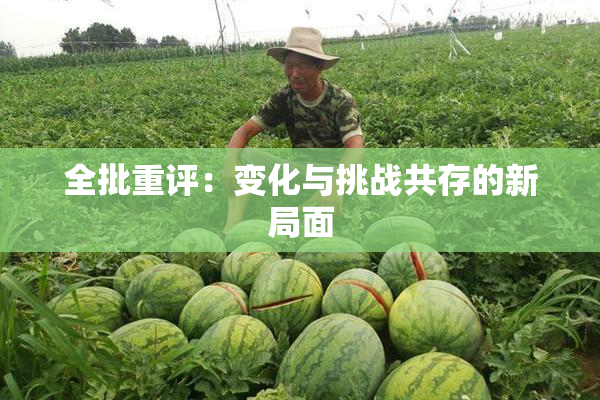 全批重评：变化与挑战共存的新局面