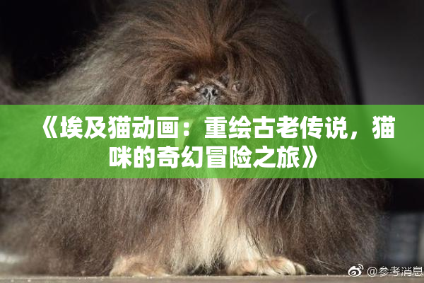《埃及猫动画：重绘古老传说，猫咪的奇幻冒险之旅》