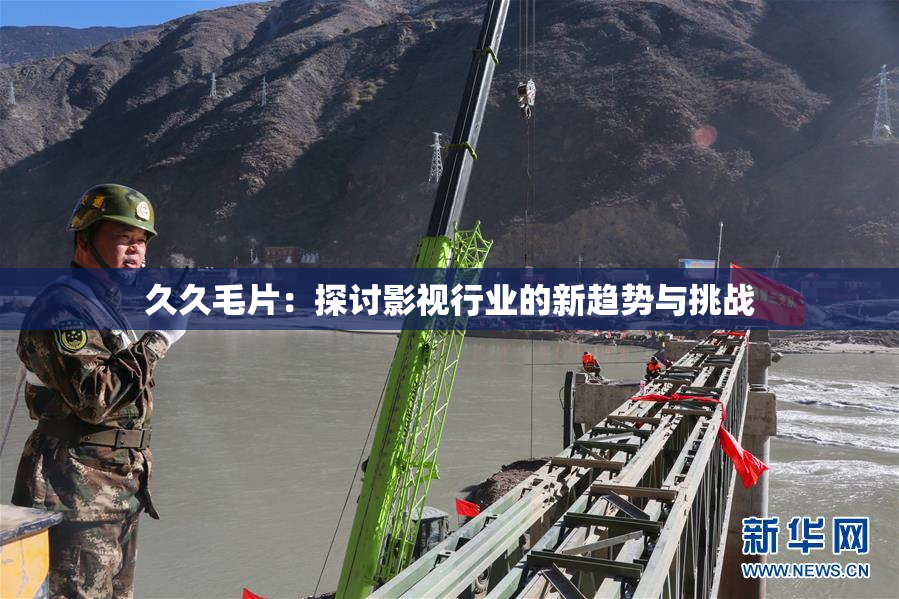 久久毛片：探讨影视行业的新趋势与挑战
