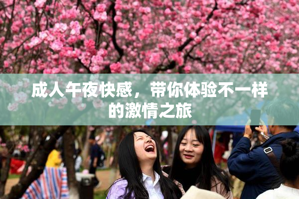 成人午夜快感，带你体验不一样的激情之旅