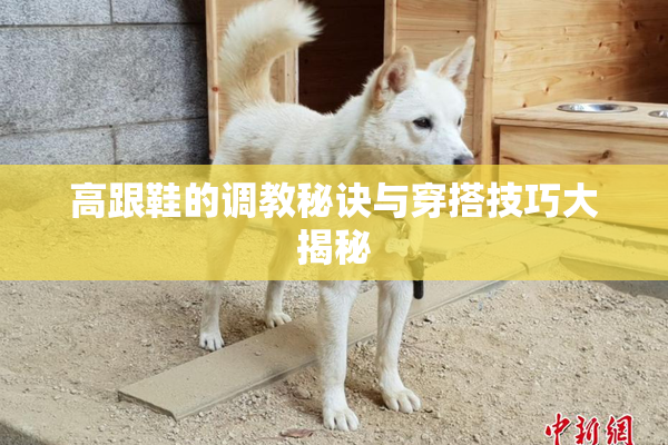高跟鞋的调教秘诀与穿搭技巧大揭秘