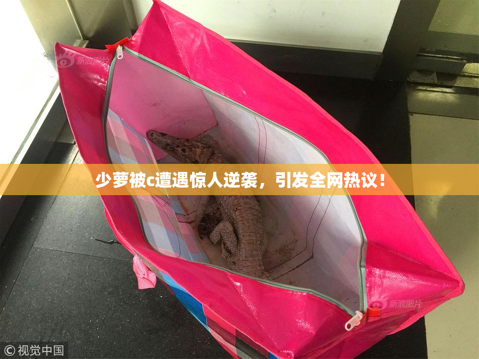 少萝被c遭遇惊人逆袭，引发全网热议！