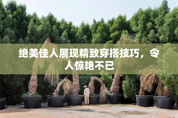 绝美佳人展现精致穿搭技巧，令人惊艳不已