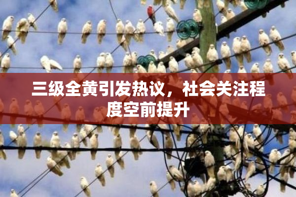 三级全黄引发热议，社会关注程度空前提升