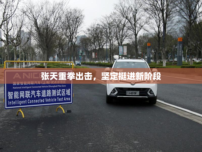 张天重拳出击，坚定挺进新阶段