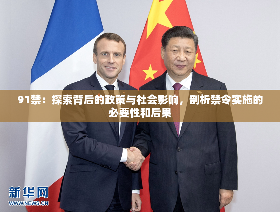 91禁：探索背后的政策与社会影响，剖析禁令实施的必要性和后果