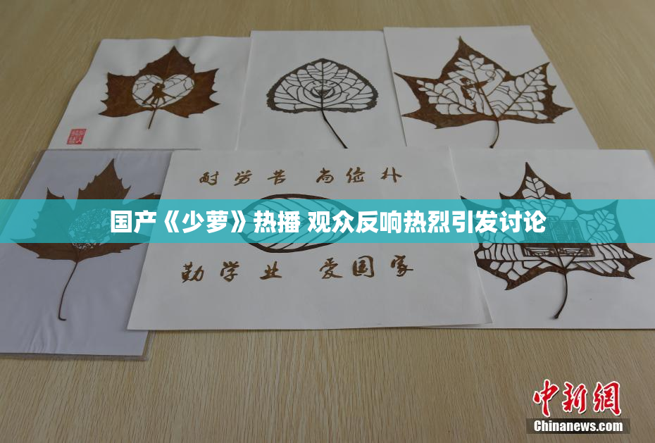 国产《少萝》热播 观众反响热烈引发讨论