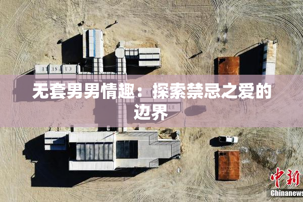 无套男男情趣：探索禁忌之爱的边界