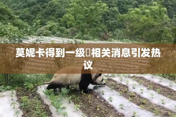 莫妮卡得到一级婬相关消息引发热议