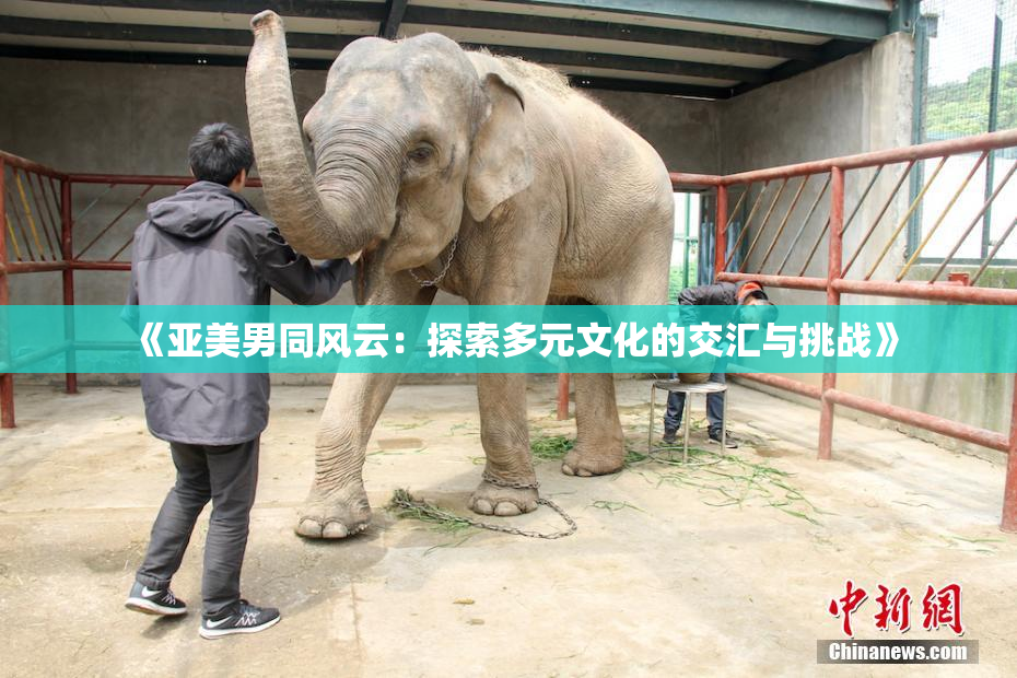 《亚美男同风云：探索多元文化的交汇与挑战》