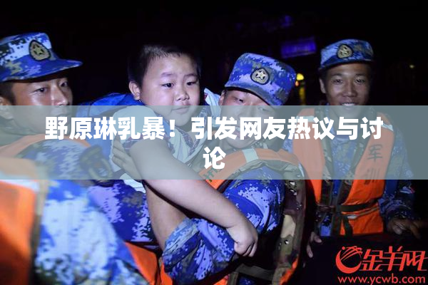 野原琳乳暴！引发网友热议与讨论