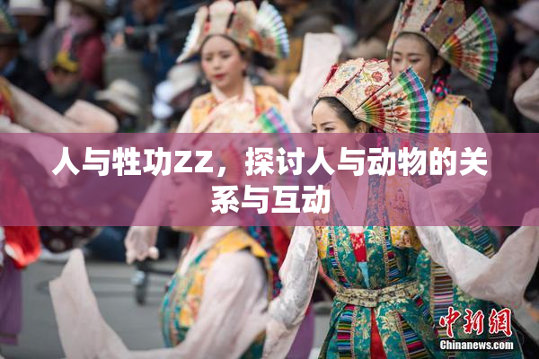 人与牲功ZZ，探讨人与动物的关系与互动