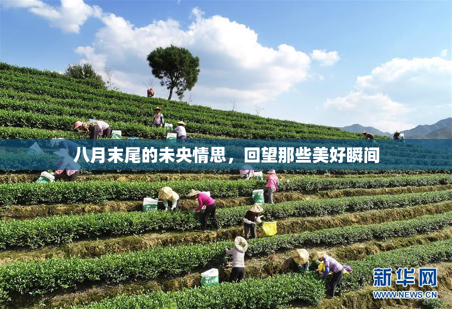 八月末尾的未央情思，回望那些美好瞬间