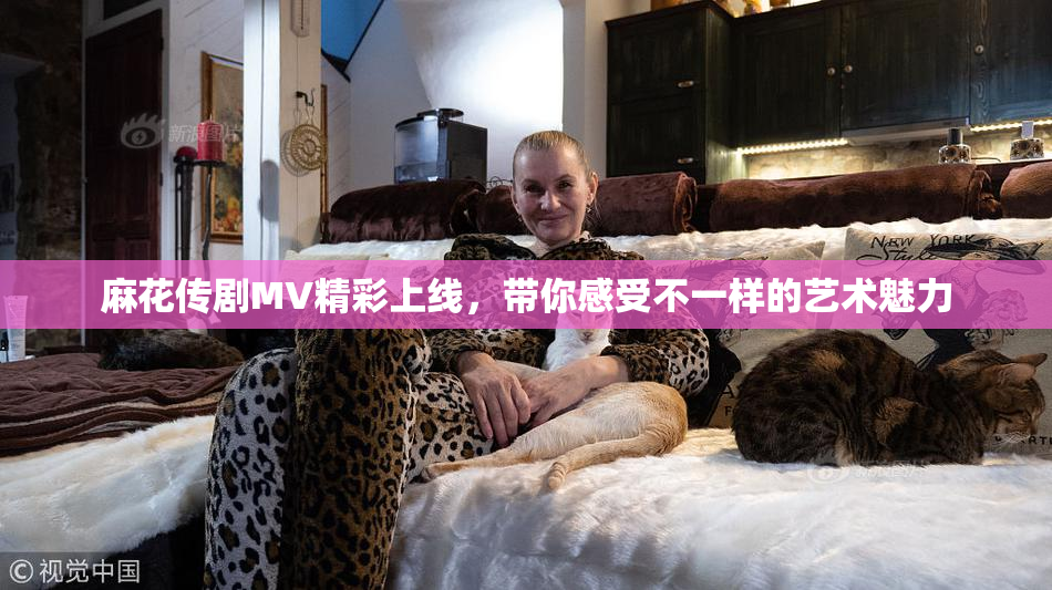 麻花传剧MV精彩上线，带你感受不一样的艺术魅力