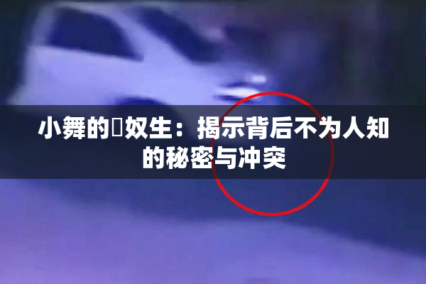 小舞的婬奴生：揭示背后不为人知的秘密与冲突