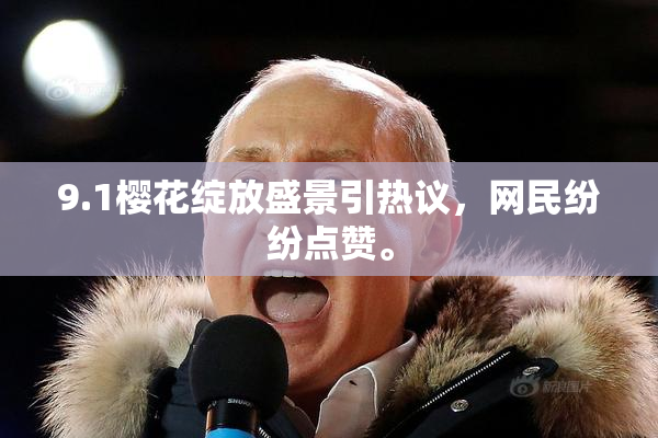 9.1樱花绽放盛景引热议，网民纷纷点赞。