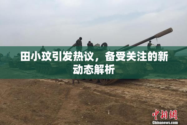 田小玟引发热议，备受关注的新动态解析