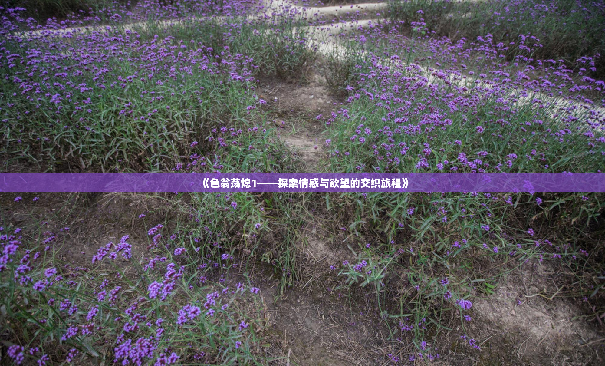 《色翁荡熄1——探索情感与欲望的交织旅程》