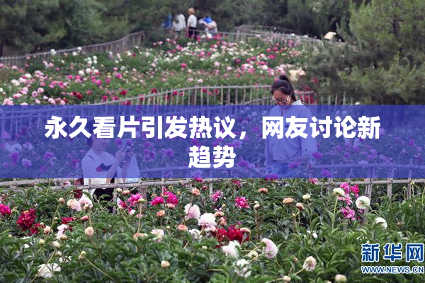 永久看片引发热议，网友讨论新趋势