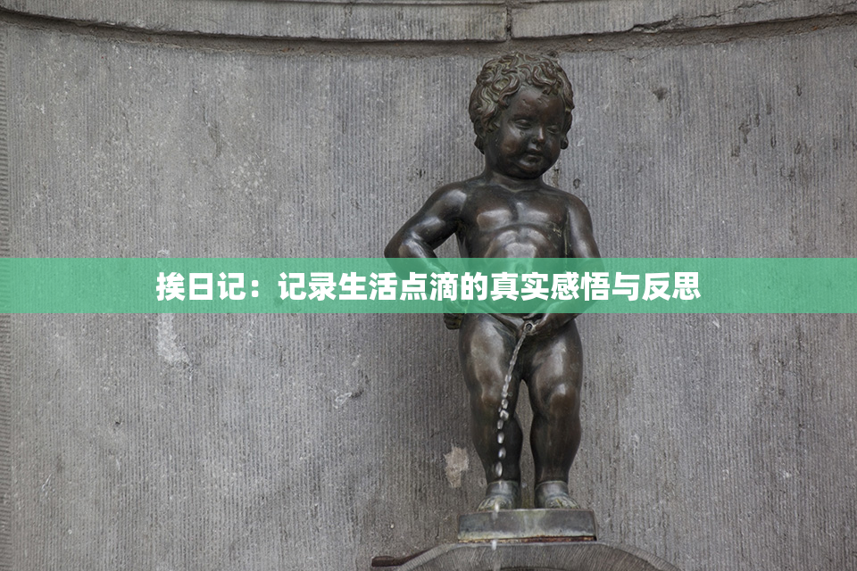 挨日记：记录生活点滴的真实感悟与反思