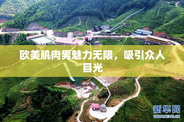欧美肌肉男魅力无限，吸引众人目光