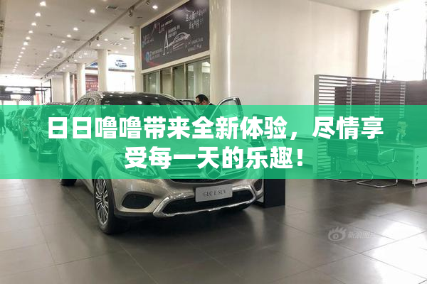 日日噜噜带来全新体验，尽情享受每一天的乐趣！