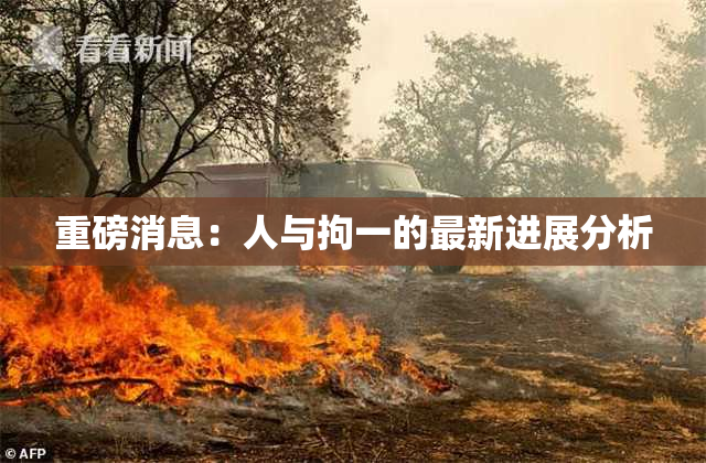 重磅消息：人与拘一的最新进展分析