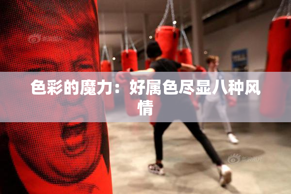 色彩的魔力：好属色尽显八种风情