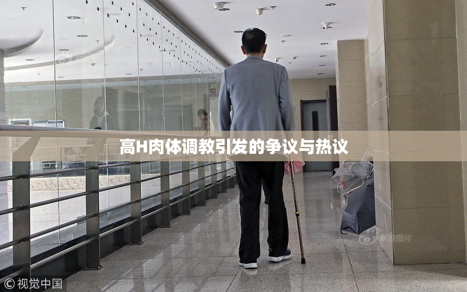 高H肉体调教引发的争议与热议