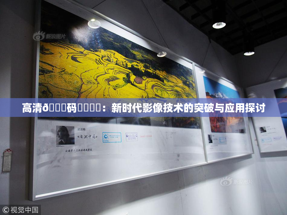 高清🈚码❌‌❌‌：新时代影像技术的突破与应用探讨