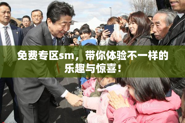 免费专区sm，带你体验不一样的乐趣与惊喜！