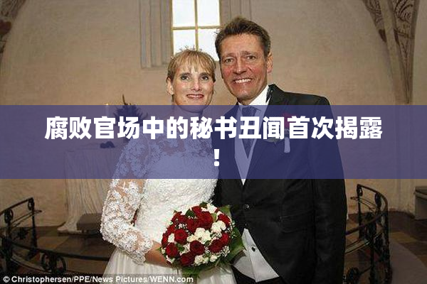 腐败官场中的秘书丑闻首次揭露！