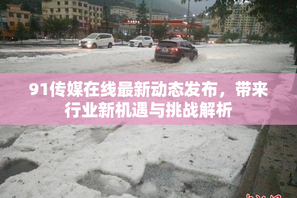 91传媒在线最新动态发布，带来行业新机遇与挑战解析