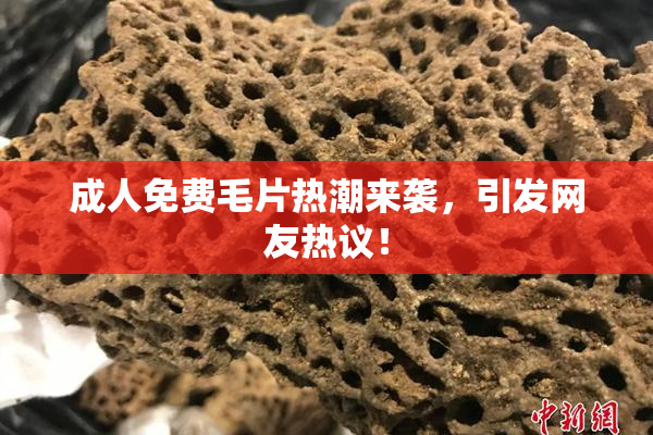 成人免费毛片热潮来袭，引发网友热议！