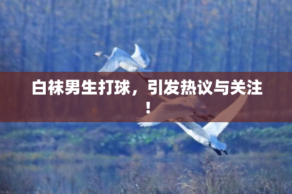 白袜男生打球，引发热议与关注！