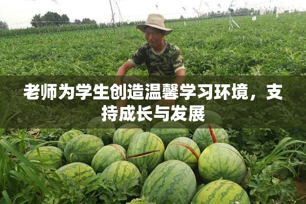 老师为学生创造温馨学习环境，支持成长与发展