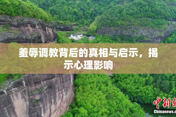 羞辱调教背后的真相与启示，揭示心理影响