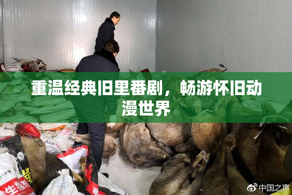 重温经典旧里番剧，畅游怀旧动漫世界