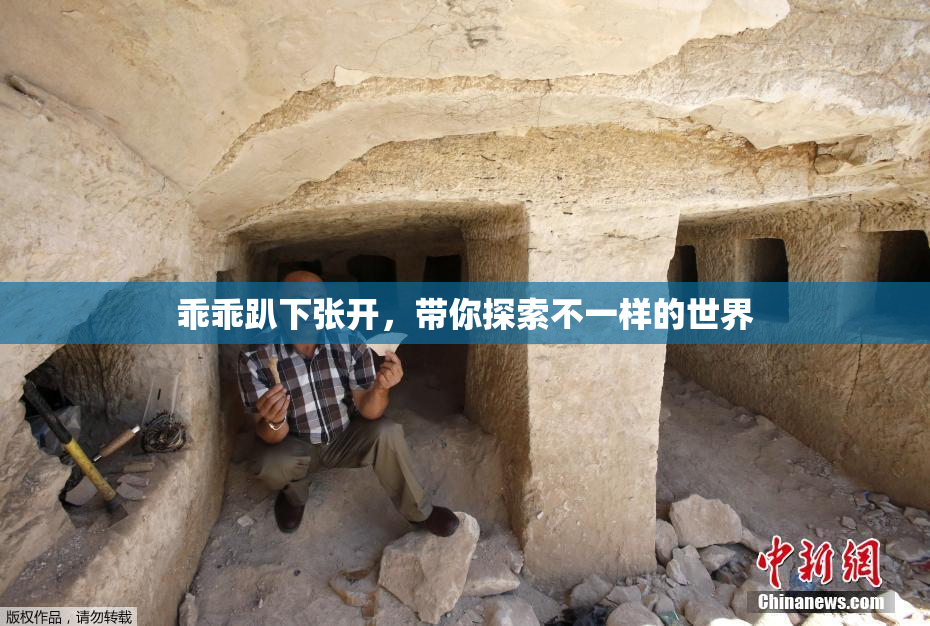 乖乖趴下张开，带你探索不一样的世界
