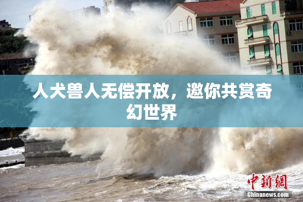 人犬兽人无偿开放，邀你共赏奇幻世界