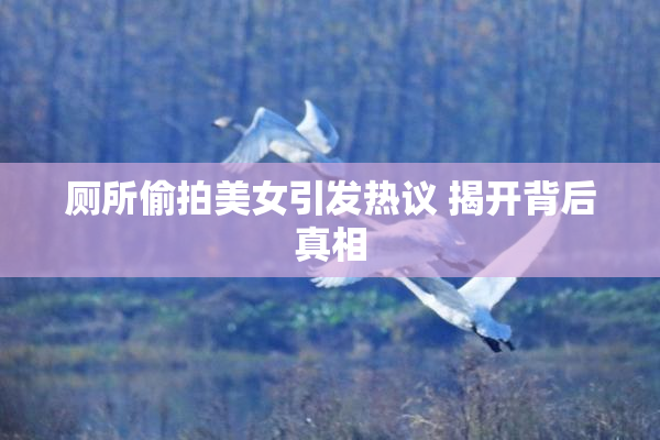 厕所偷拍美女引发热议 揭开背后真相