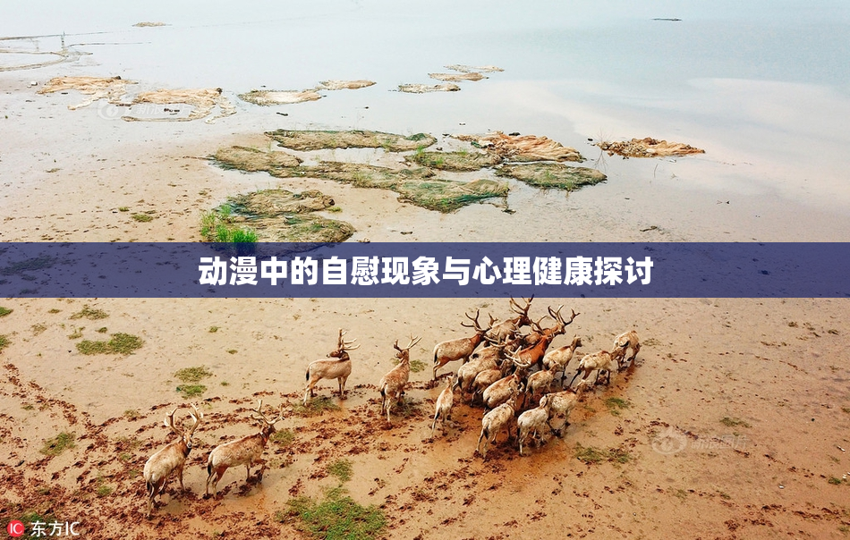 动漫中的自慰现象与心理健康探讨