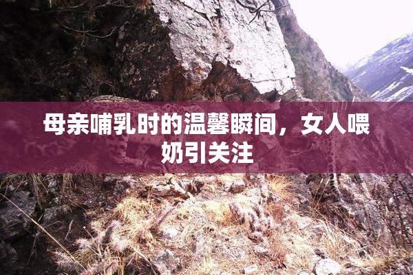 母亲哺乳时的温馨瞬间，女人喂奶引关注