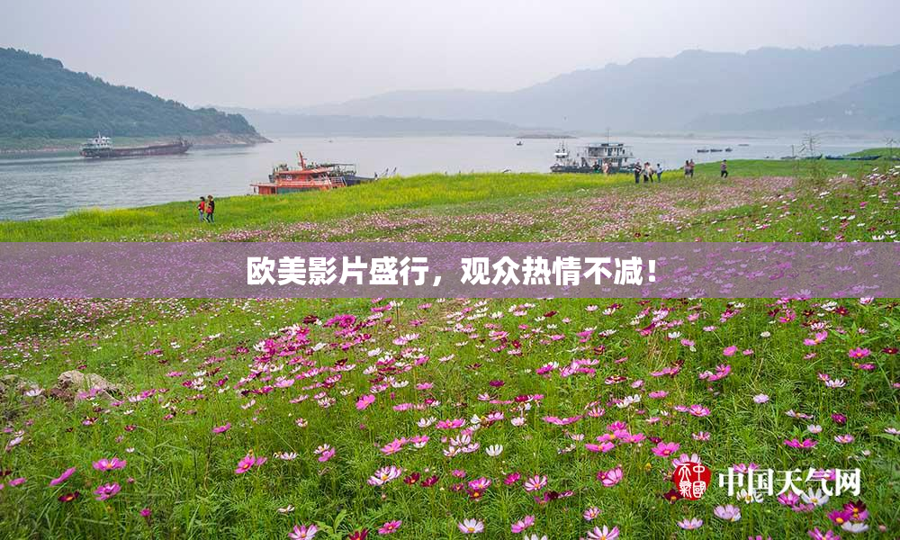 欧美影片盛行，观众热情不减！